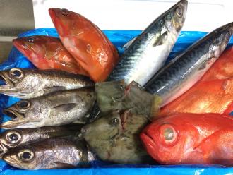 毎日市場から直送した鮮魚をぜいたくに盛っています。